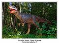 IMG_1670_RD