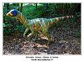 IMG_1672_RD