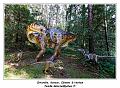 IMG_1673_RD