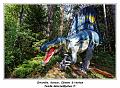IMG_1675_RD