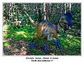 IMG_1677_RD