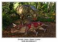 IMG_1678_RD