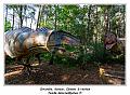 IMG_1684_RD