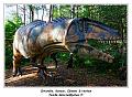 IMG_1685_RD