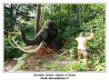 IMG_1690_RD