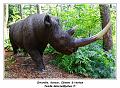 IMG_1692_RD
