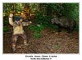IMG_1694_RD