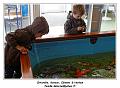 IMG_1065_RD