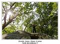 IMG_1456_RD