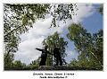 IMG_1462_RD
