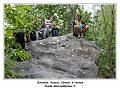 IMG_1474_RD