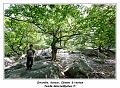 IMG_1495_RD