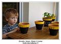 IMG_1508_RD