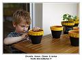 IMG_1509_RD