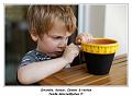 IMG_1510_RD