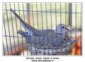 IMG_0348_RD