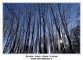 IMG_0364_RD