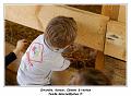 IMG_0380_RD