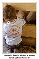 IMG_0381_RD