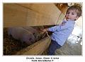IMG_0383_RD