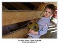 IMG_0385_RD