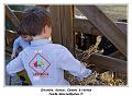 IMG_0387_RD