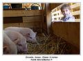 IMG_0392_RD