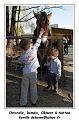 IMG_0393_RD