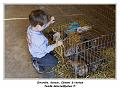 IMG_0398_RD