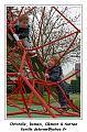 IMG_0553_RD