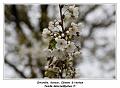 IMG_0598_RD