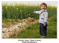 IMG_0601_RD
