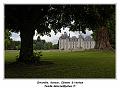 IMG_1255_RD