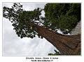 IMG_1256_RD