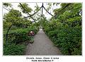 IMG_1286_RD