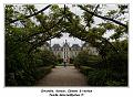 IMG_1288_RD