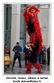 IMG_0248_RD