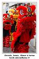 IMG_0260_RD