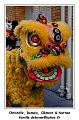 IMG_0301_RD