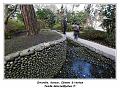 IMG_0063_RD