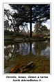 IMG_0078_RD