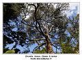 IMG_0079_RD
