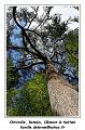 IMG_0080_RD