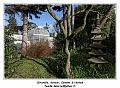 IMG_0085_RD