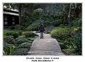 IMG_0088_RD