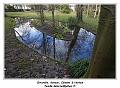 IMG_0099_RD