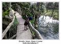 IMG_0101_RD