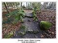 IMG_0108_RD