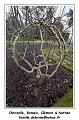 IMG_0115_RD