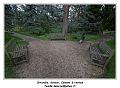 IMG_0121_RD